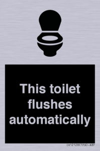 This toilet flushes automatically